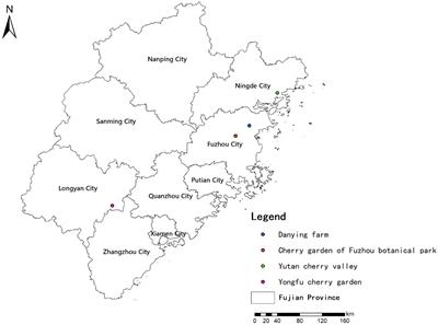 Enhancing the sustainability of cherry blossom landscapes-a case study in Fujian Province, China